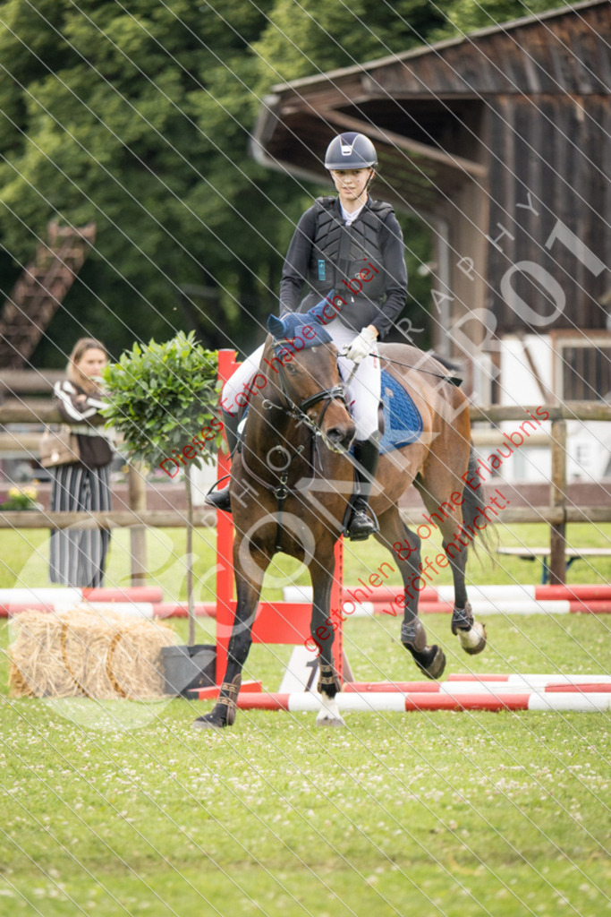 IMG_2582 | Sport-, Event- und Tierfotos in Profiqualität. Einfach auswählen, bestellen und herunterladen. Dein Moment – perfekt festgehalten.