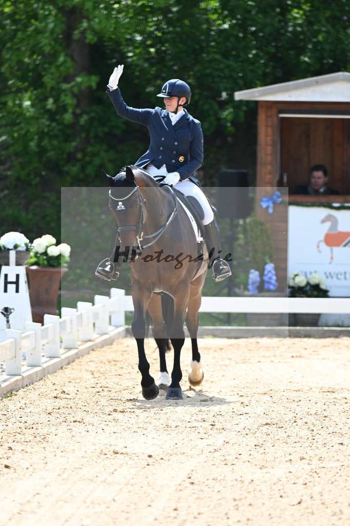 Balkenhol_High Five FRH_12244218 | hf-fotografie - Realisiert mit Pictrs.com