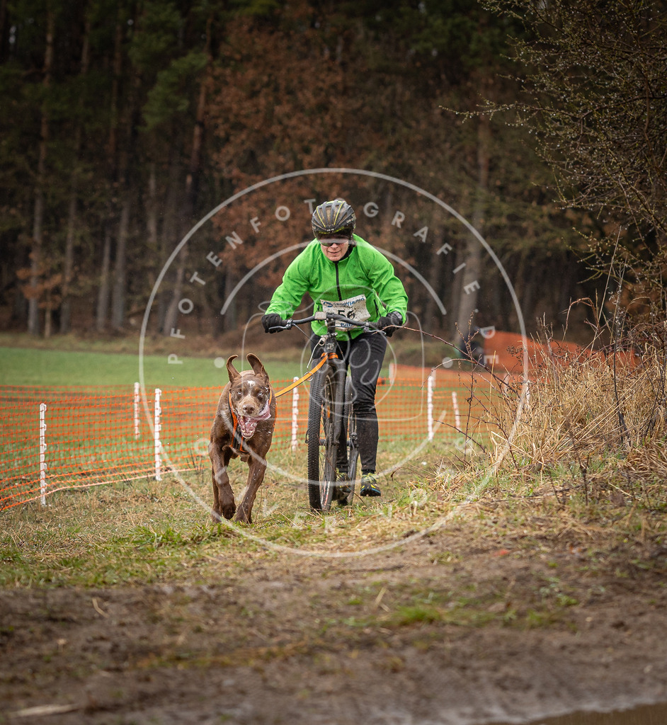 DV3A9458 | Hundefotografie, Tierfotograf, Pfotenfotografie, Fotoshooting Hund, Hunde Portrait, Hundesport, Hundeportraits, Heideshooting, Hunde, Sportfotograf, Hundefotograf, Turnierhundsport, THS,  - Realisiert mit Pictrs.com