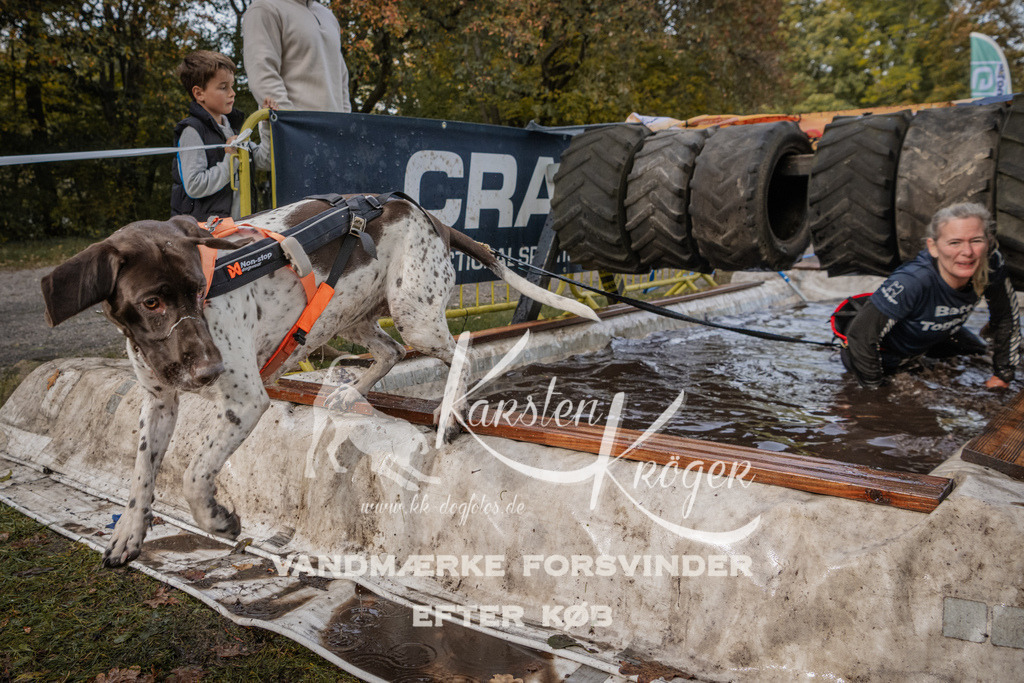 1445_ZZ90043 | kk-dogfotos