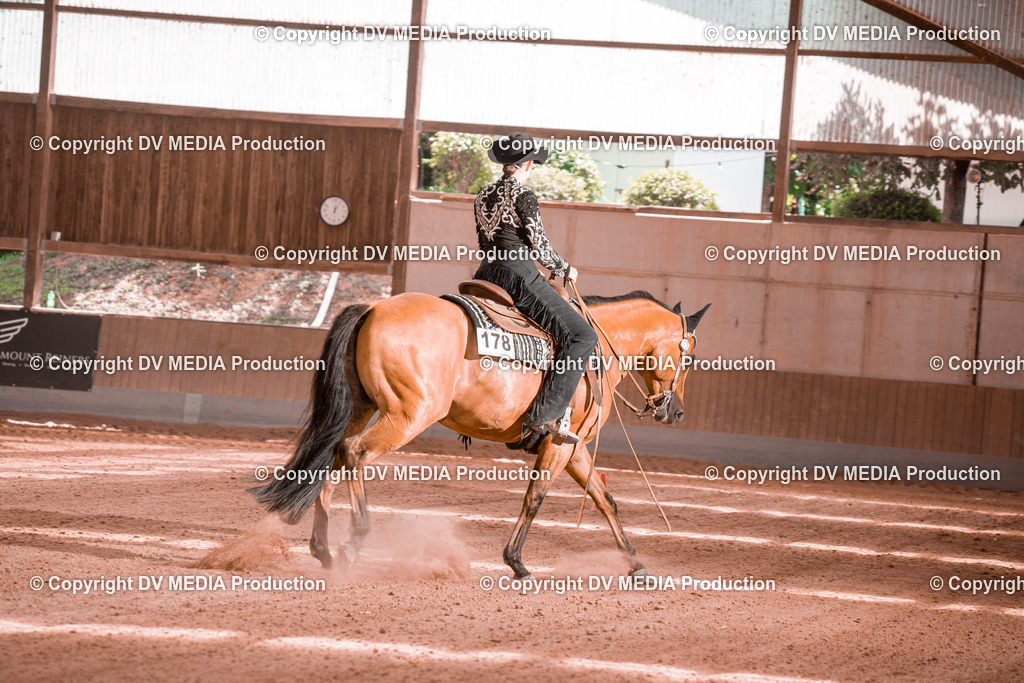 NE300620 | dv-media-shop - Realisiert mit Pictrs.com