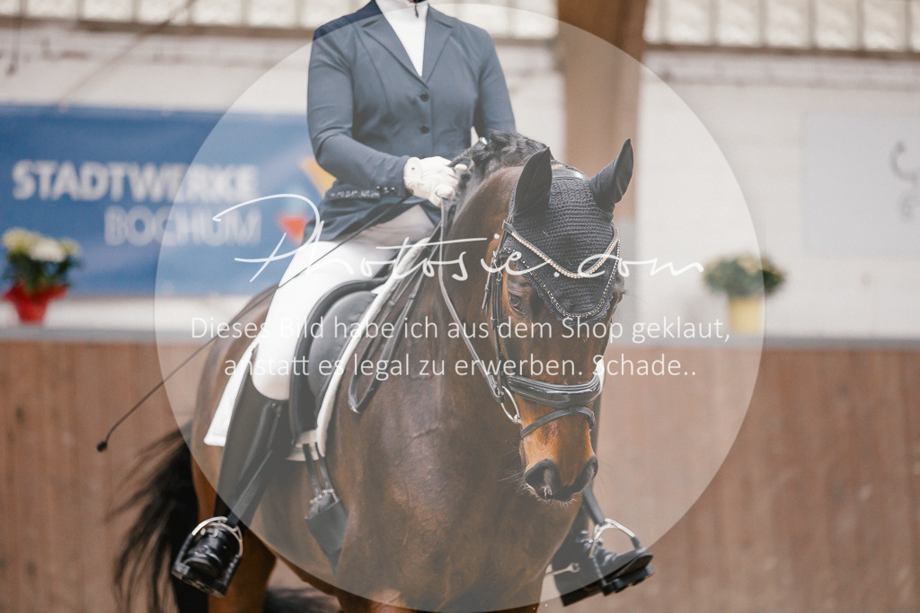 3I6A6660 | Stimmungsvolle Portraits und Reitsportfotografie im Ruhrgebiet und im Münsterland.

Pferdefotografie, Hundefotografie, Tierfotografie, Reportagen, Portraits von Tier und Mensch, Turnierfotografie in Bochum, Recklinghausen, Marl, Haltern am See, Dülmen.. - Realisiert mit Pictrs.com