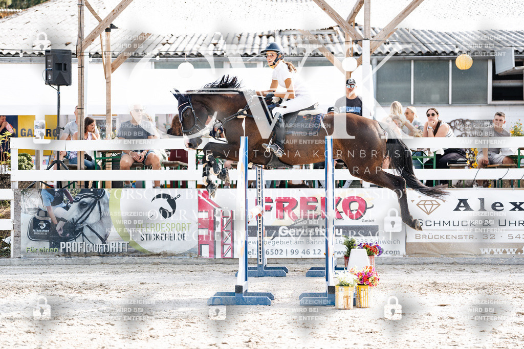 CK905932 | Turnierfotografie Pferdefotografie Trier Rheinland-Pfalz Pferdesport Reitsport Tierfotografie Sportfotografie Pferdevideo Pferdevideografie Equestrianvideography equestrianphotography  - Realisiert mit Pictrs.com