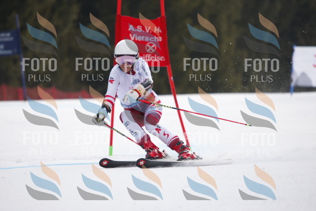 D4594 | holidayphoto