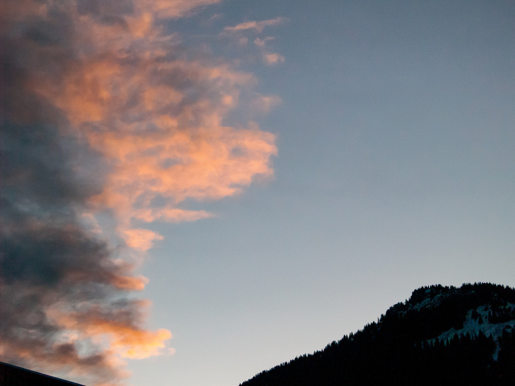 PSX_20230117_221234 | OLYMPUS DIGITAL CAMERA - Realisiert mit Pictrs.com