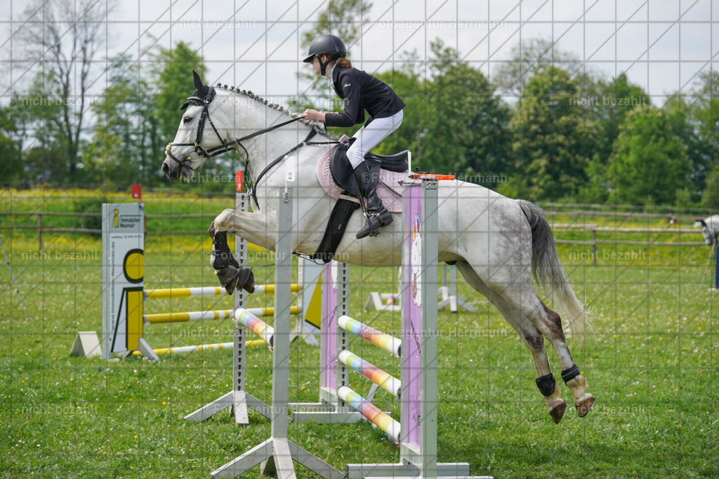 20240509-FAH02717 | Turnierbilder der Turnierfotografen Bayern, Pferdesport Fotografie, Reitsportbilder, Turnier Landberg am Lech, Turnierbilder bayern, Fotoagentur Herrmann