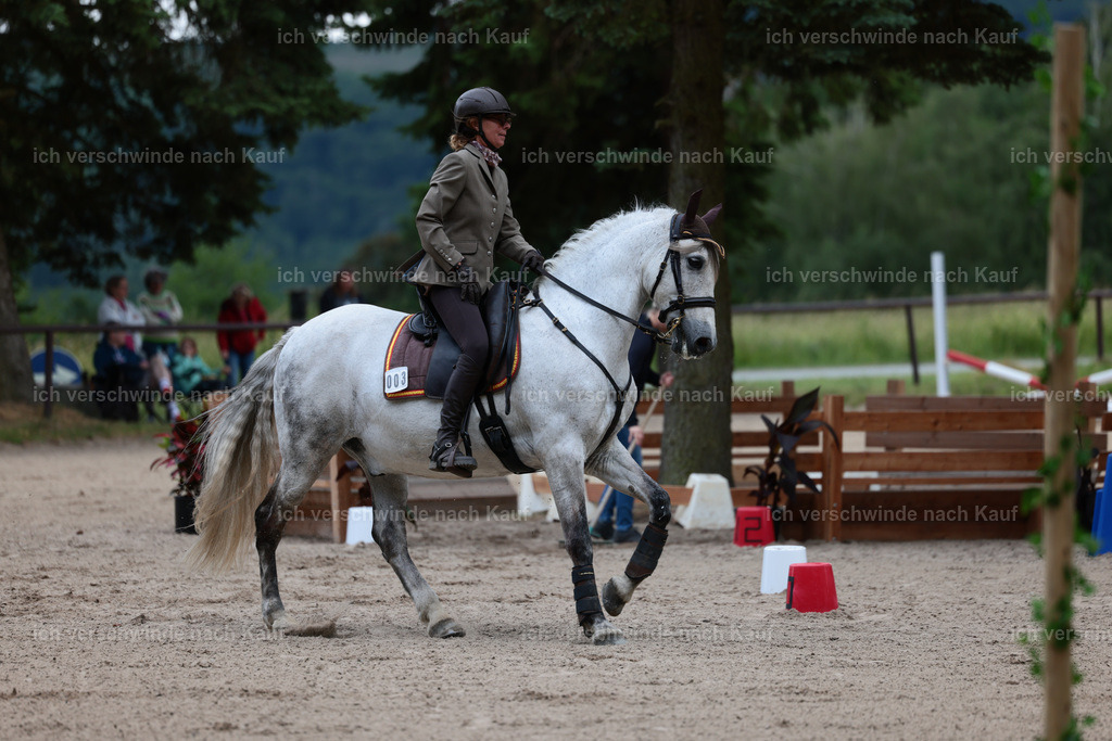 Masterclass_stoibphotography_C2_L6657.JPG | working equitationturnier fotograf videograf stoibphotography marixx film working equitation deutschland reitsport turnierfotografie eventfotografie equestrian events