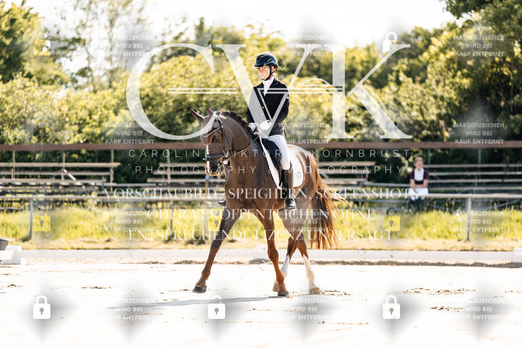 CK909074 | Turnierfotografie Pferdefotografie Trier Rheinland-Pfalz Pferdesport Reitsport Tierfotografie Sportfotografie Pferdevideo Pferdevideografie Equestrianvideography equestrianphotography  - Realisiert mit Pictrs.com