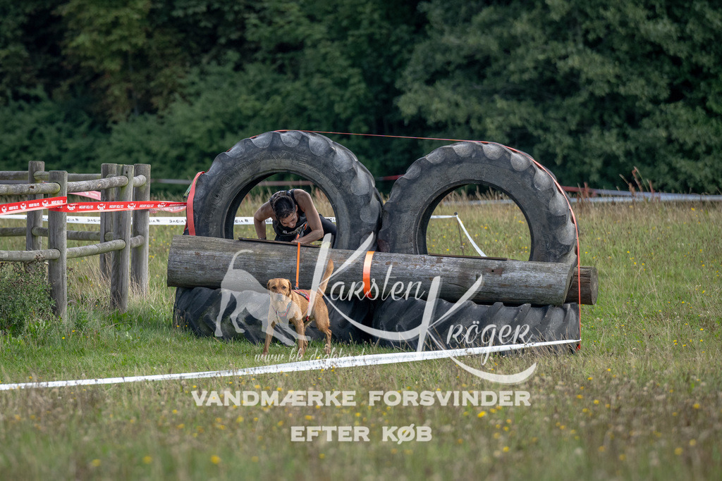 1112_ZZ92051 | kk-dogfotos