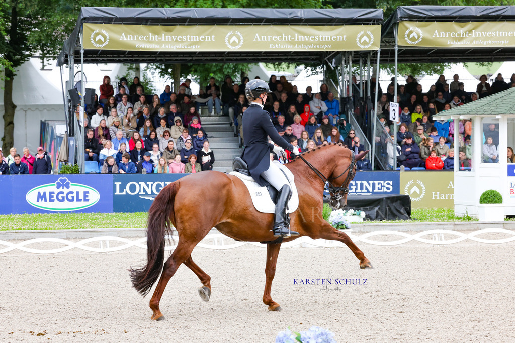 1B3A7474 | Reitsport Reiten