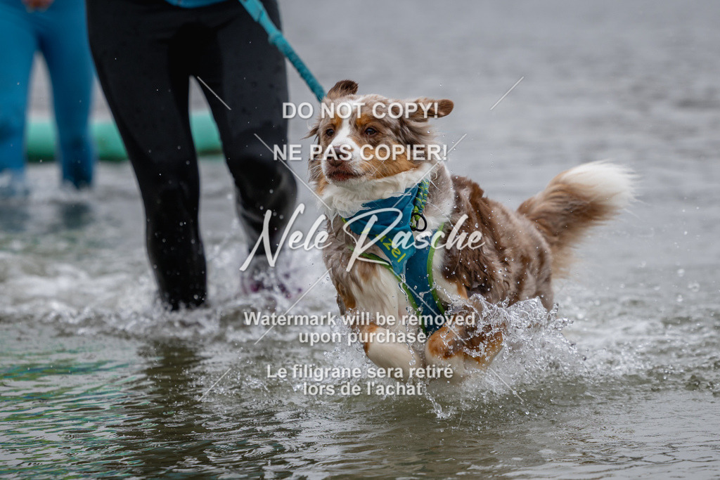 nelerasche_Hulsbeek_Sa1430-1515_127 | nelerasche