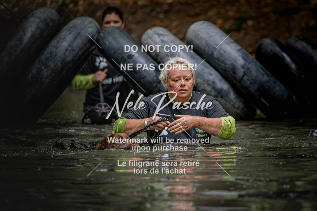nelerasche_SaWingst1230-1300_229 | nelerasche