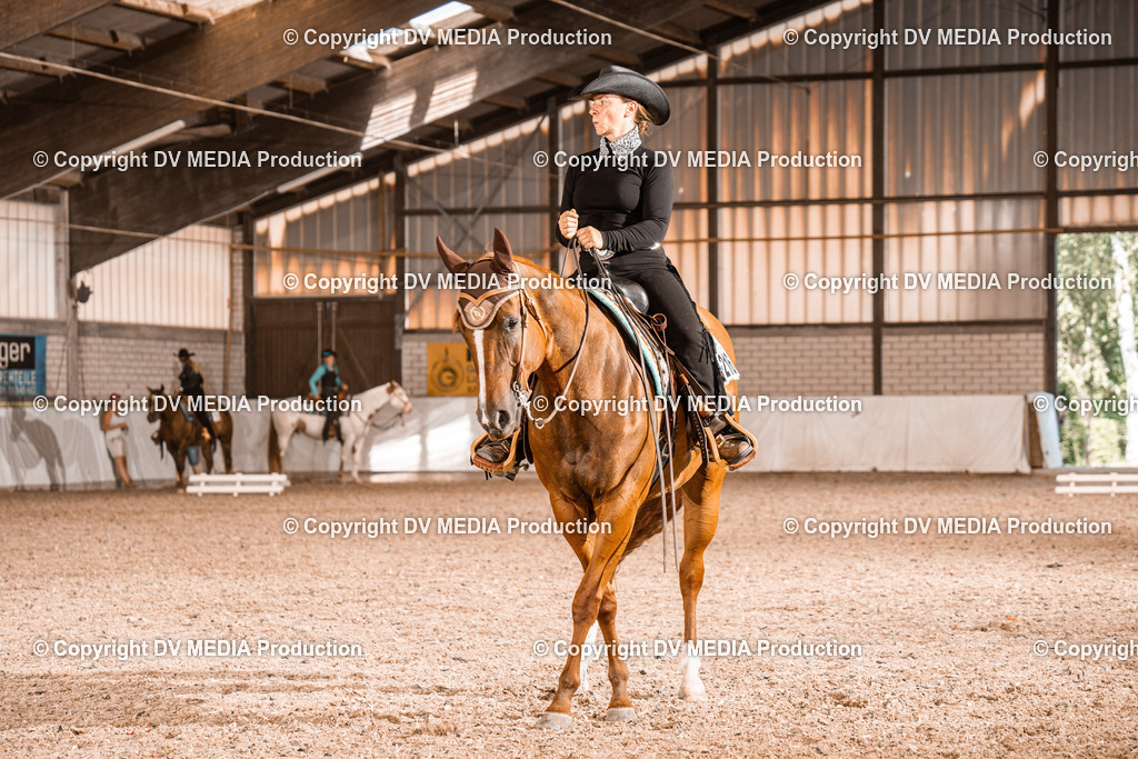 ZH100201 | dv-media-shop - Realisiert mit Pictrs.com