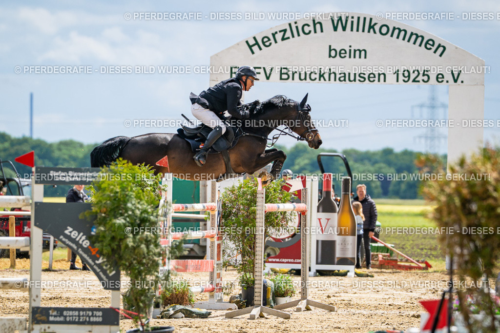 DSC06242 | Pferdegrafie