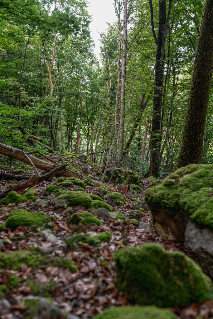 ZD250916092339 | Fotoshop von zweidimensional Fotografie. Ihr Fotograf im Aargau. Abzüge von Ihrem Fotobox Event bestellen.Abzüge von Ihrem Hochzeit bestellen.Abzüge von Ihrem Schulfotograf bestellen.