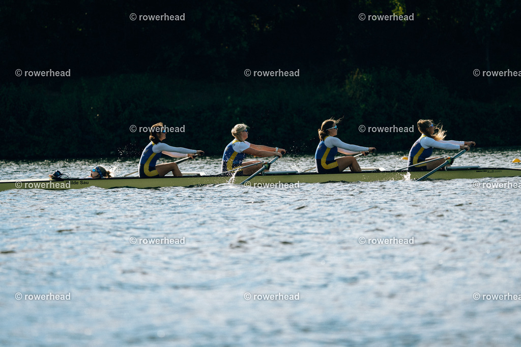 20241006_rowerhead_R030_S0091_DSC08471 | rowerhead - Realisiert mit Pictrs.com