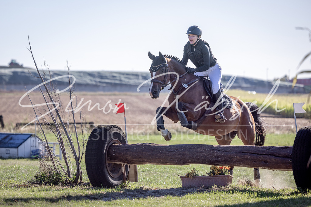 20260906-_3LI1616 | Tierfotografie Pferde, Hunde, Katzen, Haustiere.
Turnierfotografie Reitturniere, Reiten, Springreiten, Dressur in Hanau, dem Main-Kinzig-Kreis und dem Rhein-Main- Gebiet um Frankfurt