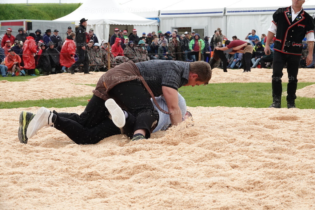 DSC00735 | Schwingen - Realisiert mit Pictrs.com