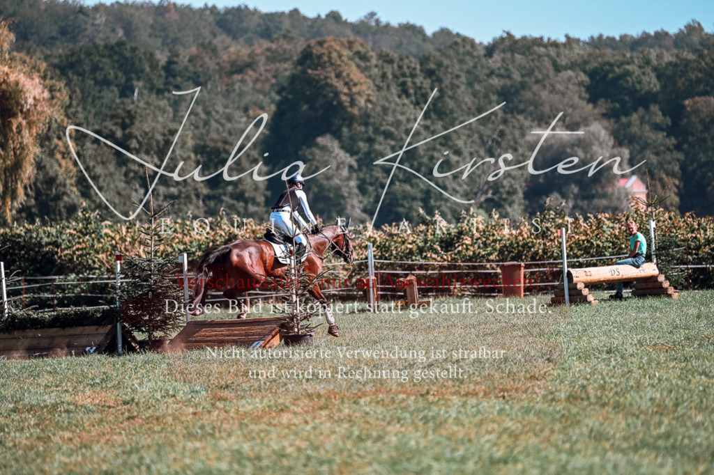 DSC_1091 | Pferde- und Turnierfotografie in Westsachsen. Pferdeportraits, Auftragszeichnungen und intuitive Kunst.