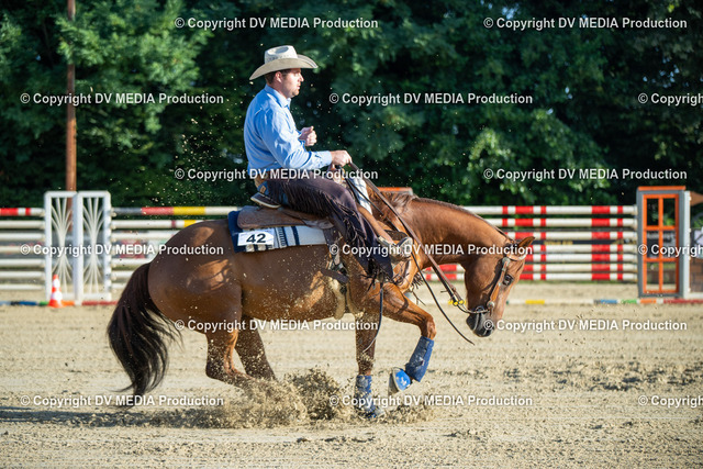 ZS1_0596 | dv-media-shop - Realized with Pictrs.com