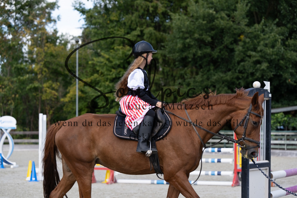 A7V07528 | Pferdefotograf