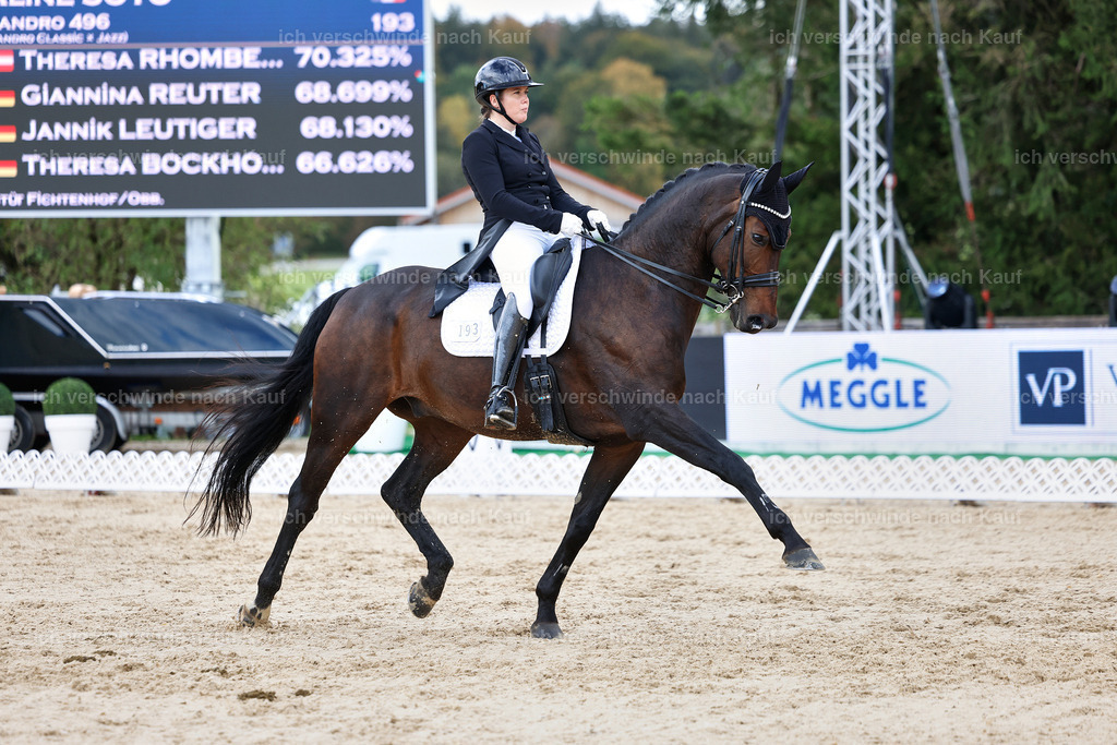 10-193-ST.GEORG SPECIAL -StoibPH-3259 | working equitationturnier fotograf videograf stoibphotography marixx film working equitation deutschland reitsport turnierfotografie eventfotografie equestrian events