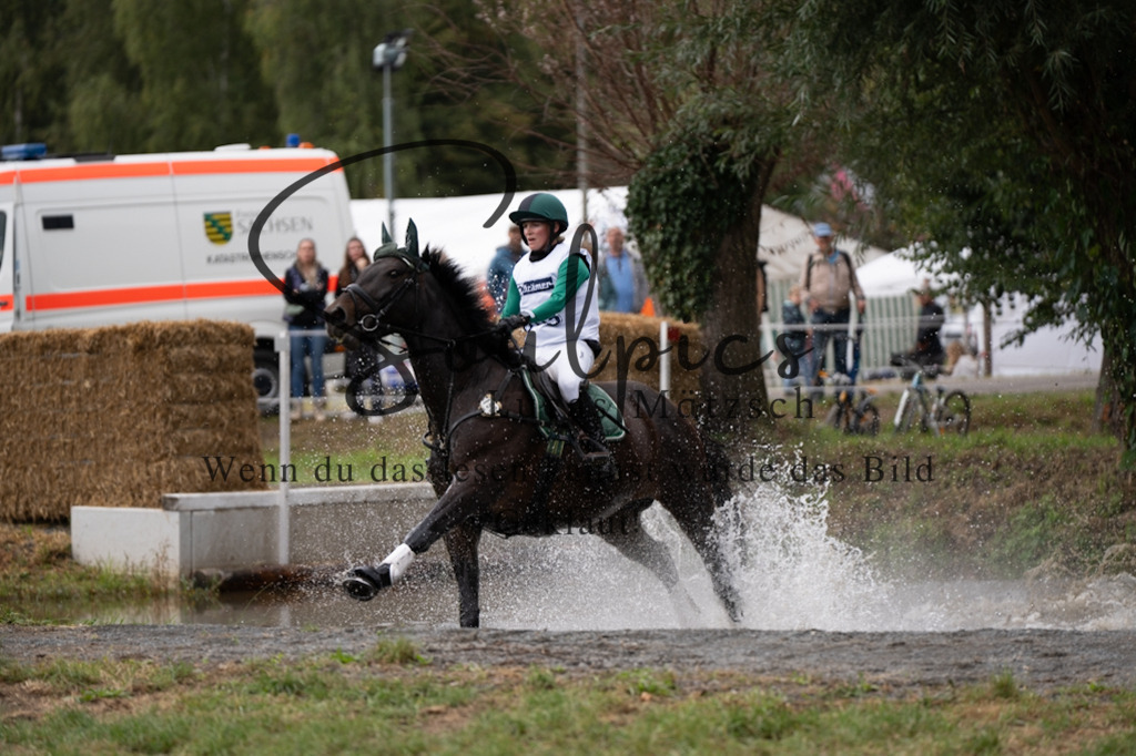 A7V00484 | Pferdefotograf