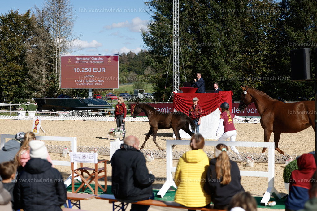 _AM19092 | working equitationturnier fotograf videograf stoibphotography marixx film working equitation deutschland reitsport turnierfotografie eventfotografie equestrian events