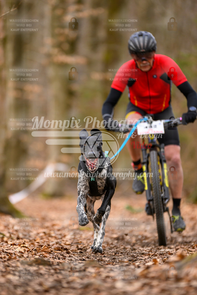MompixPhotography_Habay2025_SA_Bike-15 | PayLife