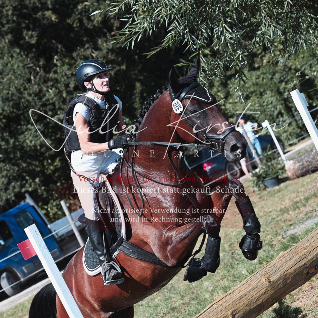 DSC_8535 | Pferde- und Turnierfotografie in Westsachsen. Pferdeportraits, Auftragszeichnungen und intuitive Kunst.