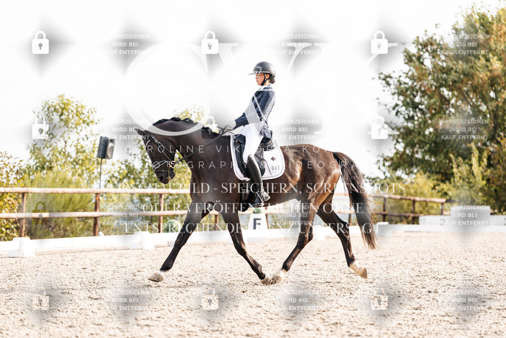 CK901084 | Turnierfotografie Pferdefotografie Trier Rheinland-Pfalz Pferdesport Reitsport Tierfotografie Sportfotografie Pferdevideo Pferdevideografie Equestrianvideography equestrianphotography  - Realisiert mit Pictrs.com