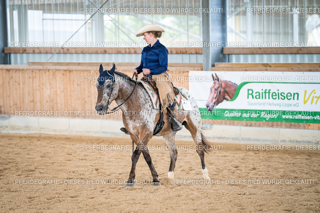 DSC03824 | Pferdegrafie