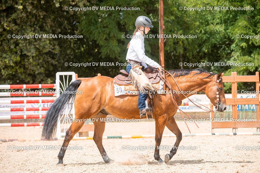 EWP_6607 | dv-media-shop - Realisiert mit Pictrs.com