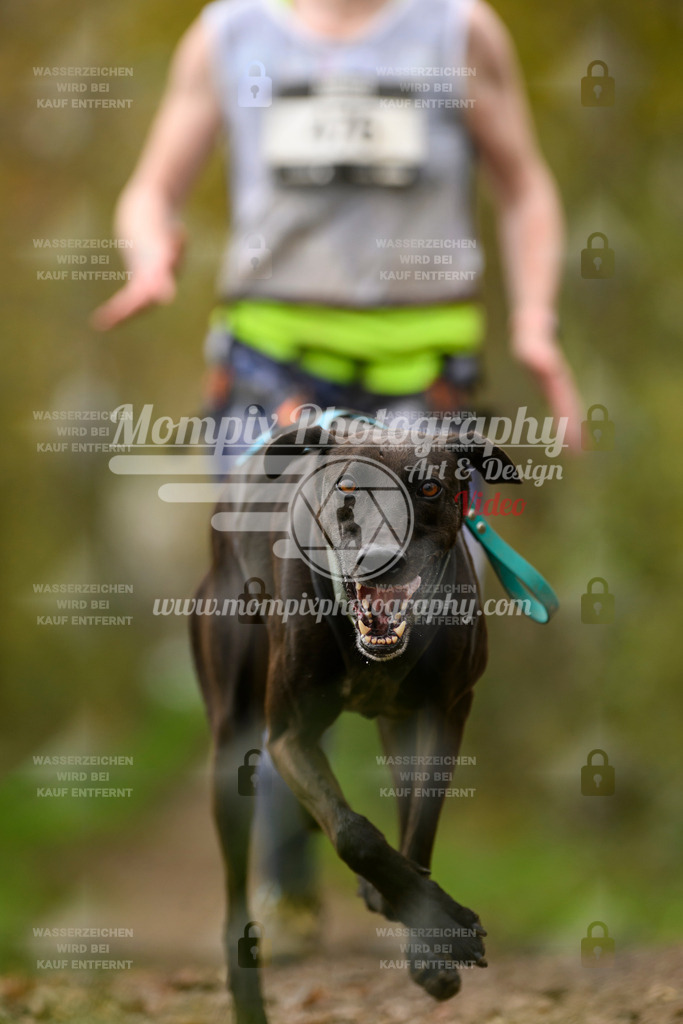 MompixPhotography_20TSB_E6_Run-202 | PayLife