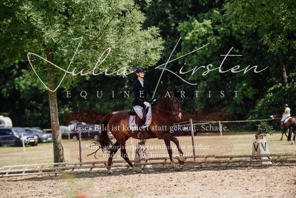 DSC_0860 | Pferde- und Turnierfotografie in Westsachsen. Pferdeportraits, Auftragszeichnungen und intuitive Kunst.