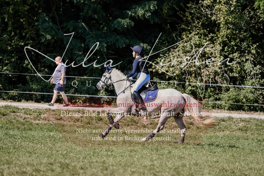 DSC_3215 | Pferde- und Turnierfotografie in Westsachsen. Pferdeportraits, Auftragszeichnungen und intuitive Kunst.