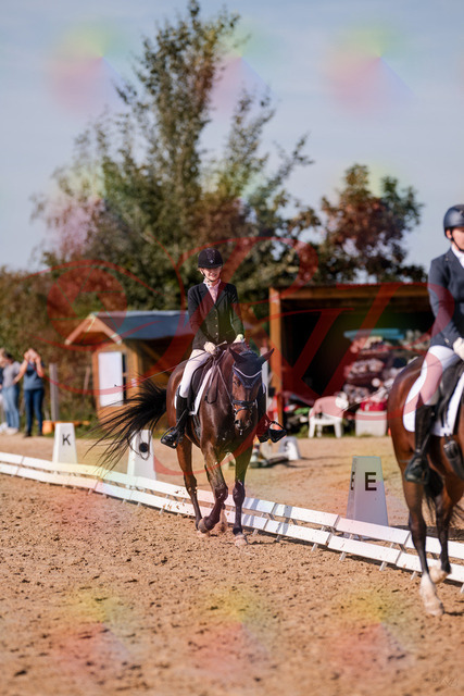 2026_10_03_Siefer-Hof_125533_Z81_44736614 | Professionelle Reitsport-, Turnier- und Eventfotografie von Robert Broda. Galerien mit ausgewählten und bearbeiteten Bildern direkt online ansehen und bestellen.