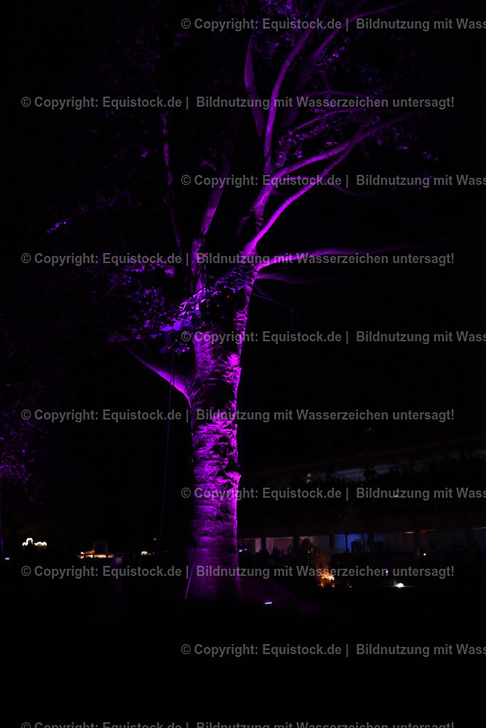 20230526_Pferdenacht_1594 | equistock