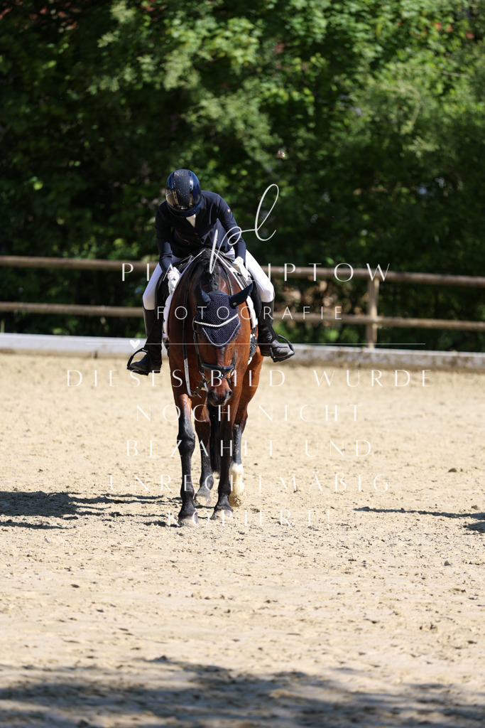 IMGT0167 | pl-fotografie