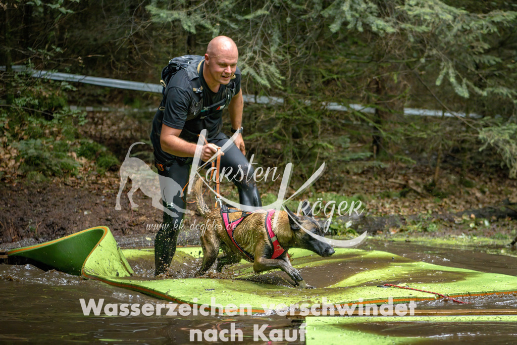 1540_ZZ91815-Bearbeitet | kk-dogfotos