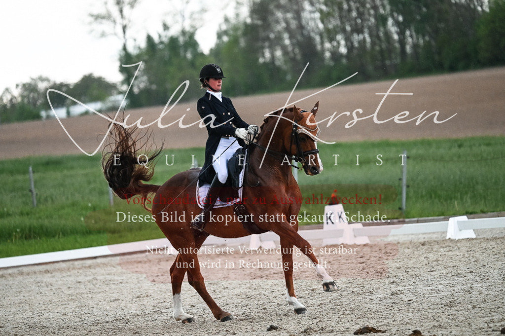 20230514_JK-Röhrsdorf-21-616 | Pferde- und Turnierfotografie in Westsachsen. Pferdeportraits, Auftragszeichnungen und intuitive Kunst.