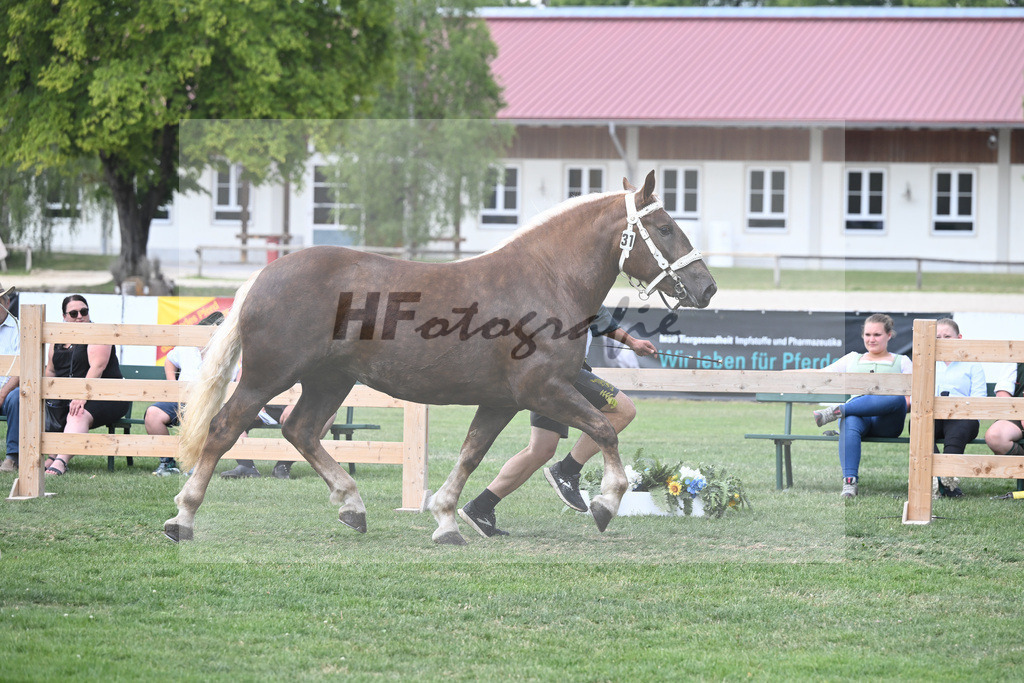 Kat-Nr. 31 Patin_Onnich_20230480 | hf-fotografie - Realisiert mit Pictrs.com