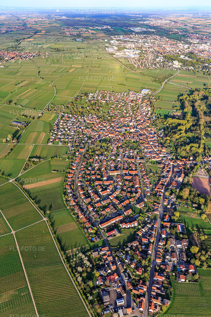 Luftbild: Winzerdorfansicht im Frühling von Westen im Ortsteil Godramstein in Landau im Bundesland Rheinland-Pfalz in Deutschland. Foto: IMG_106569.jpg vom 17.04.2018 durch Werner Riehm/FLY-FOTO.de