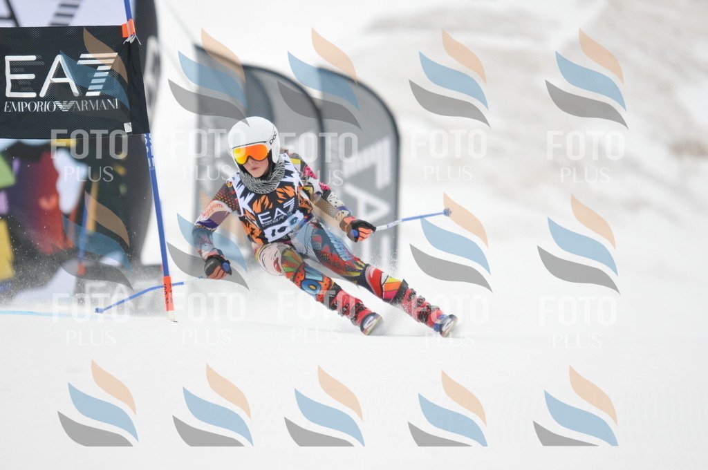 DSC_8048 | holidayphoto