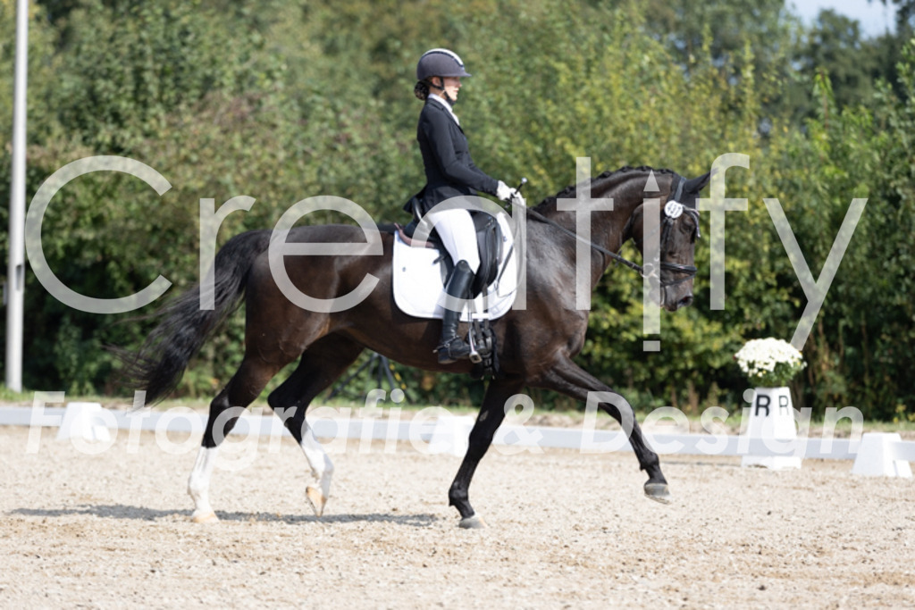 IMG_3502 | Creatify Fotografie