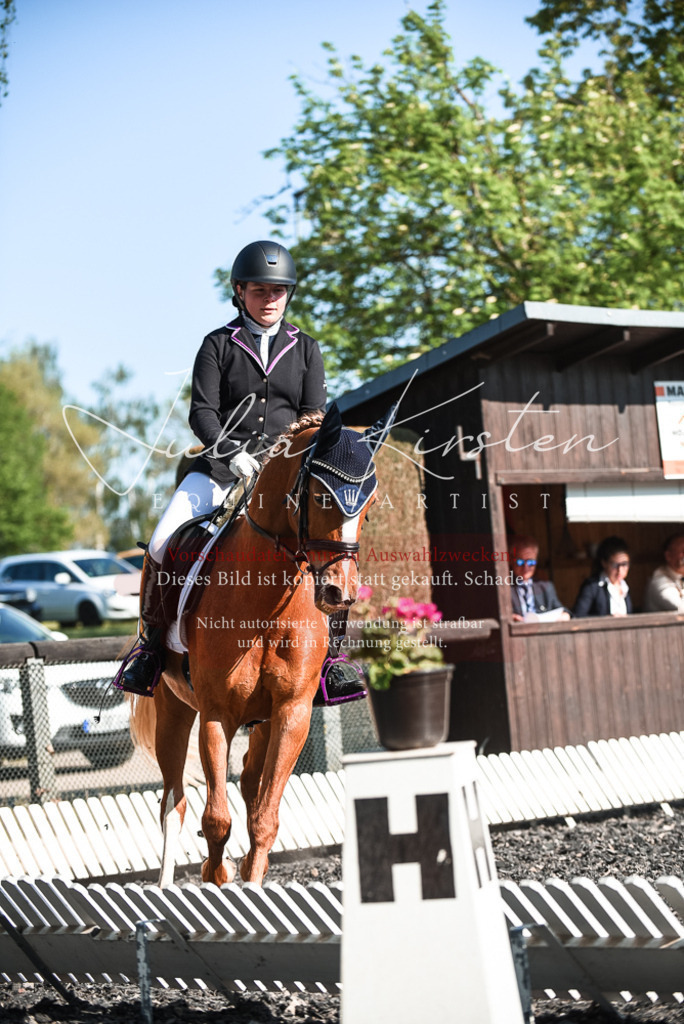 DSC_8414 | Pferde- und Turnierfotografie in Westsachsen. Pferdeportraits, Auftragszeichnungen und intuitive Kunst.