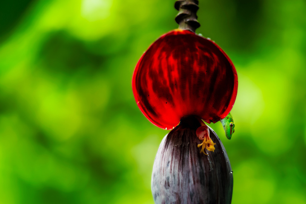 _D4S6834-1 | photoluigi