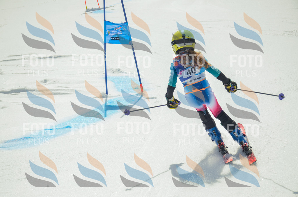 _ELE5030 | holidayphoto