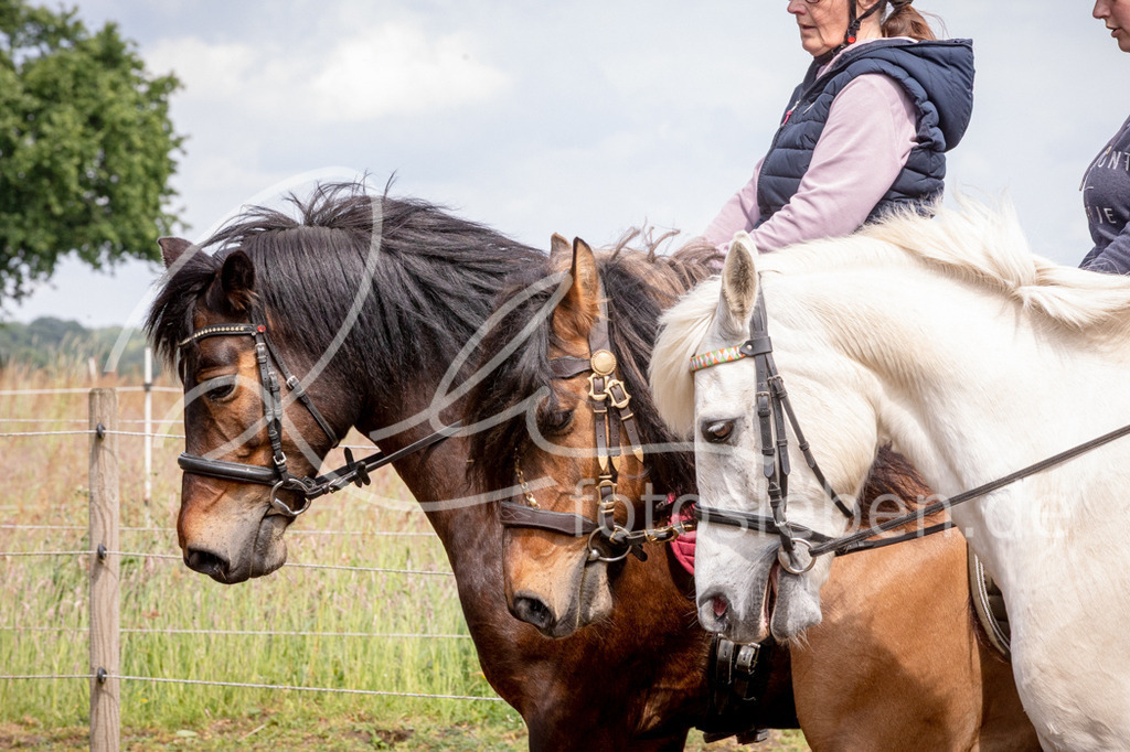 846A1011 | fotosleben - Realisiert mit Pictrs.com