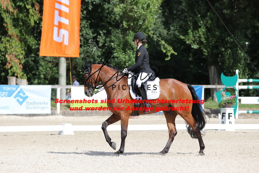 IMG_5343 | lmwpictures - Realisiert mit Pictrs.com